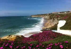 Buy Óbidos - Ericeira - Mafra